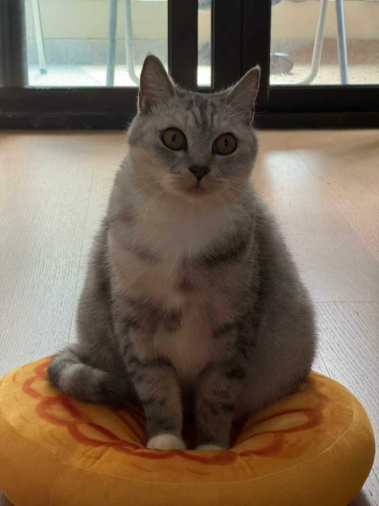 别太早向命运低头，毕竟人生漫漫。

我们时常会听到有人说“认命吧，就这样了”，特