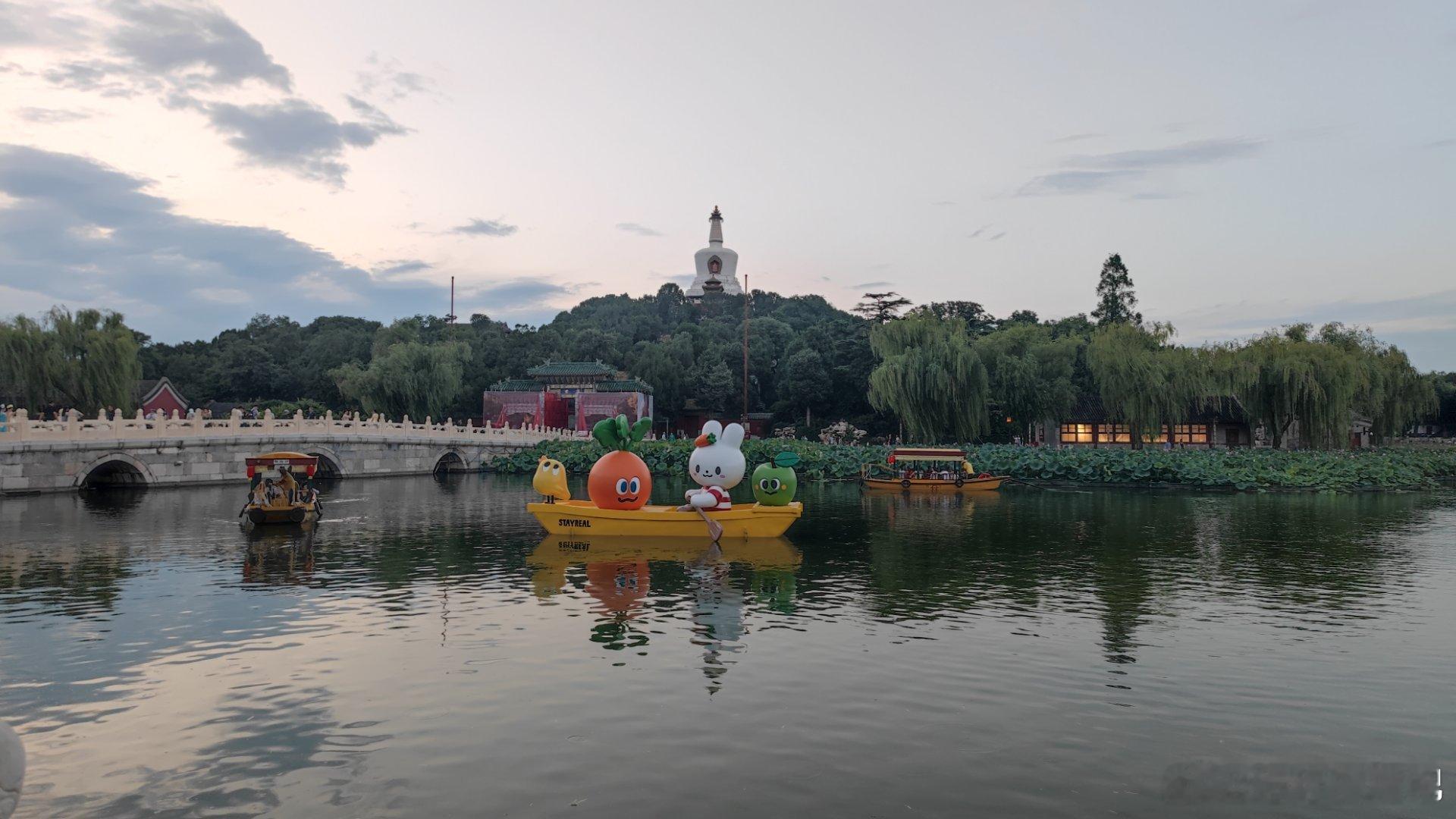 北京北海公园荷塘夜色  摄影​​​