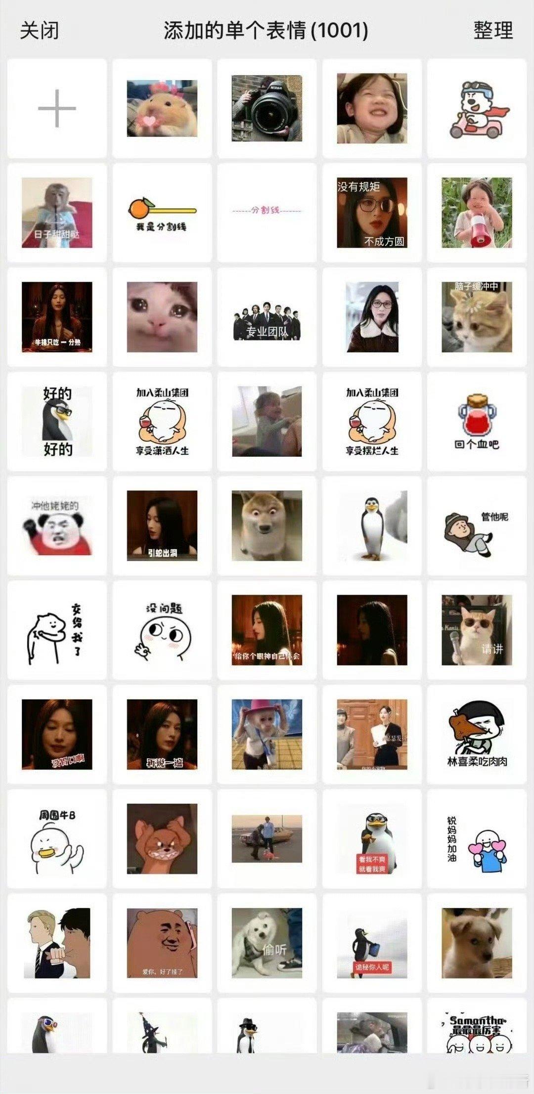 张俪表情包库满了 导演的表情包都被拒之门外了，张俪的库存里得有多少“珍藏版”啊？