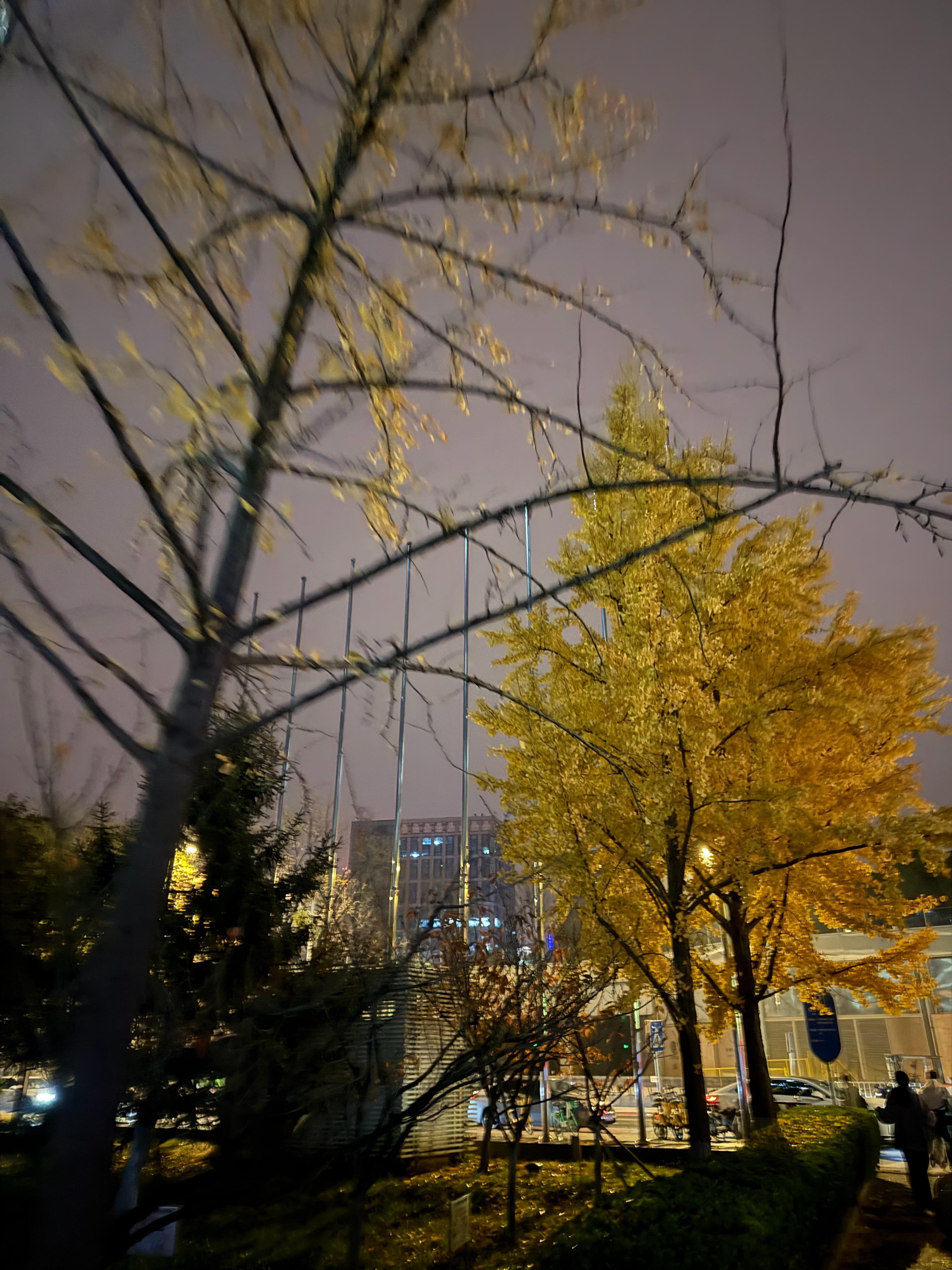 立冬快乐冬天到了