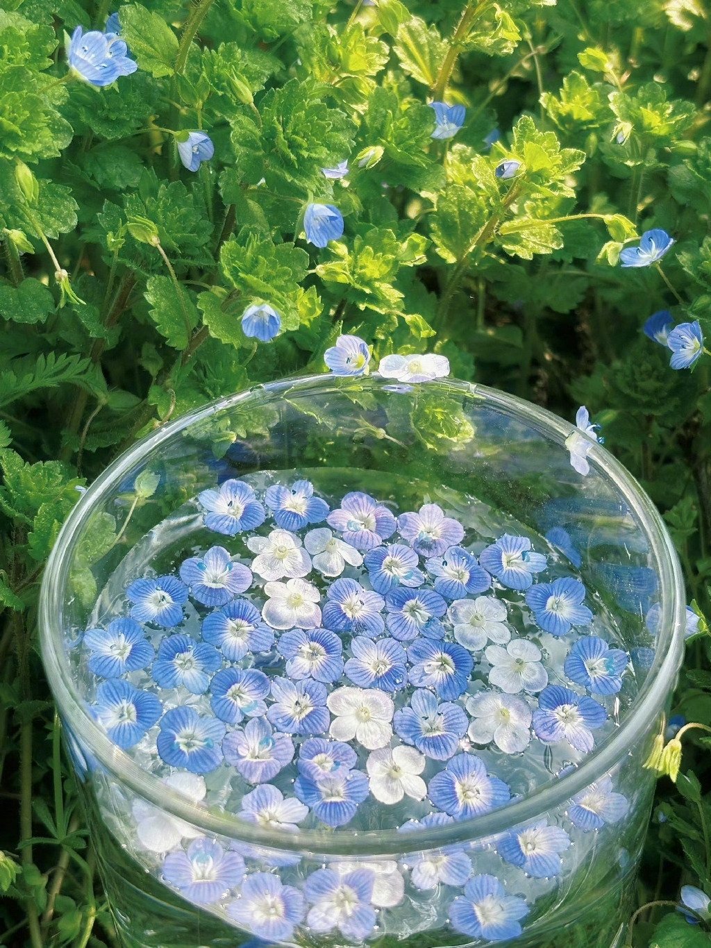 “春心萌动正當時。” ​ ​​​