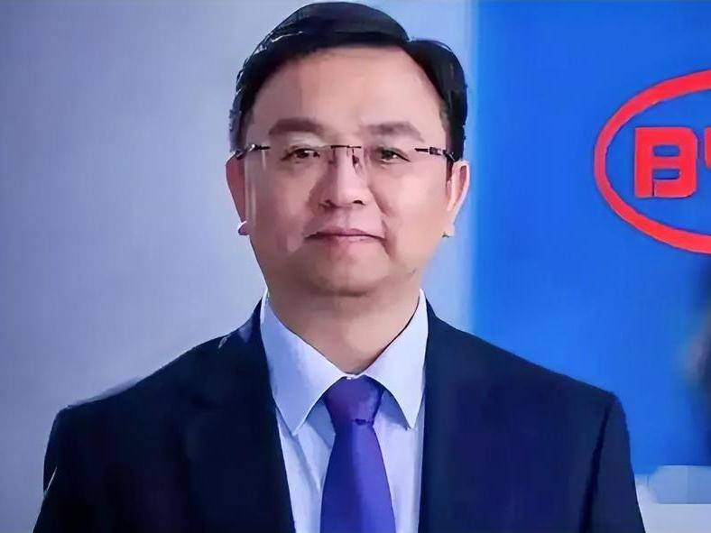 未来10年比亚迪合作伙伴会出现多少个？

1，10个？

2，20个？

3，3