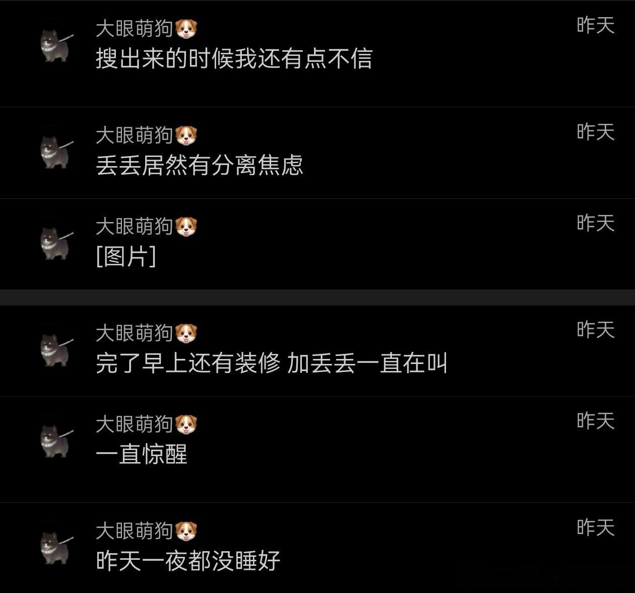 不丢 知道妈妈心情不好在阁楼 小丢来舔舔妈妈头也不回的就走了😺我们小丢有分离焦