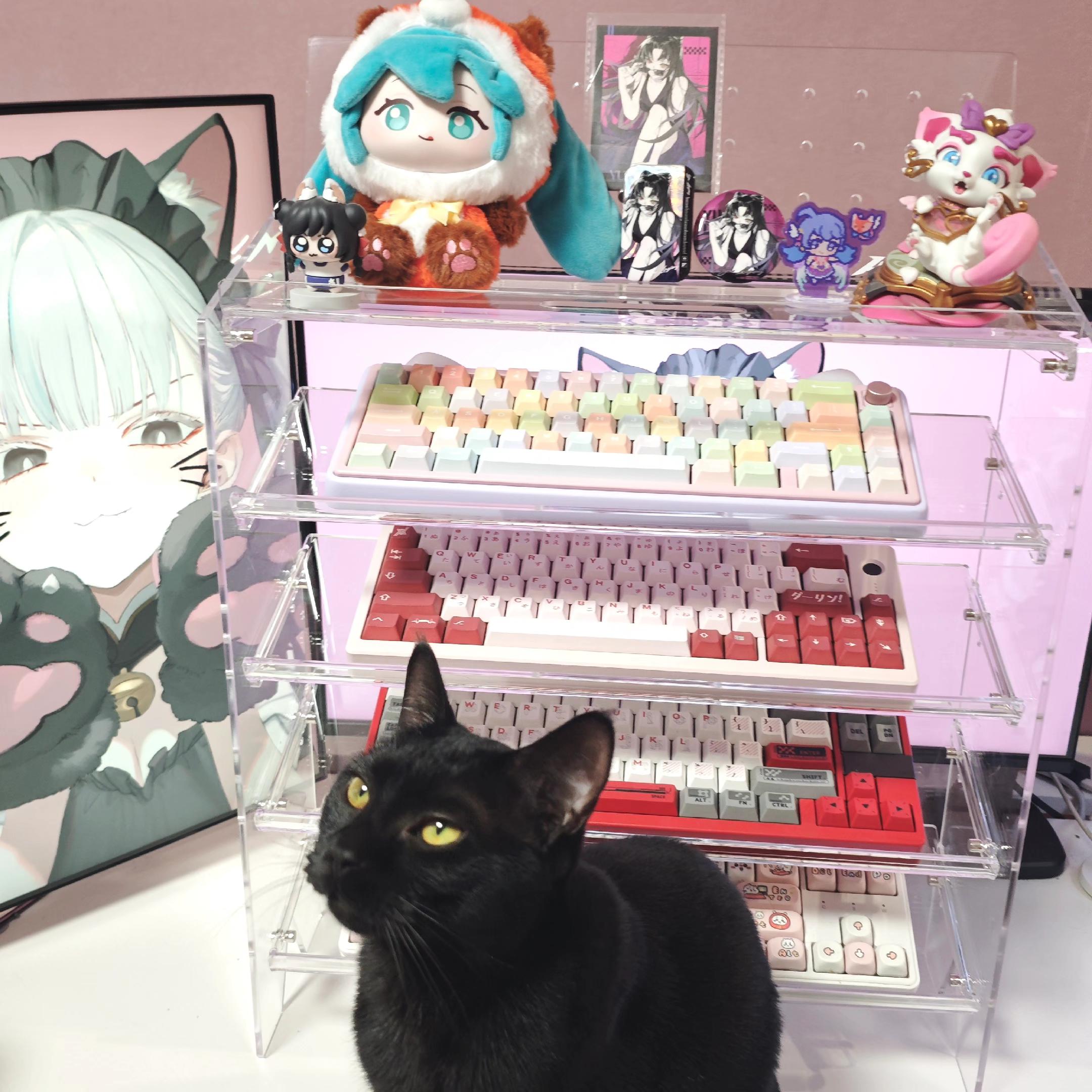 袈裟小姐就是爱抢镜📸。