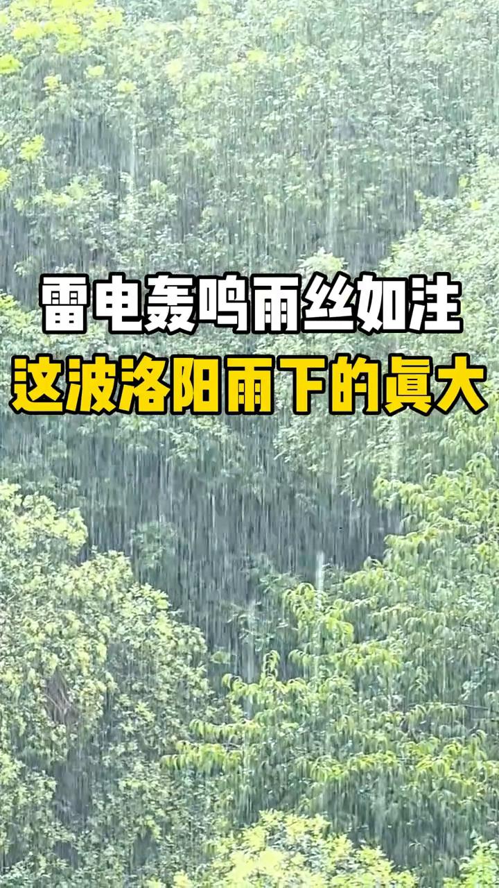 雷电轰鸣，雨丝如注。这波洛阳雨下的真大。