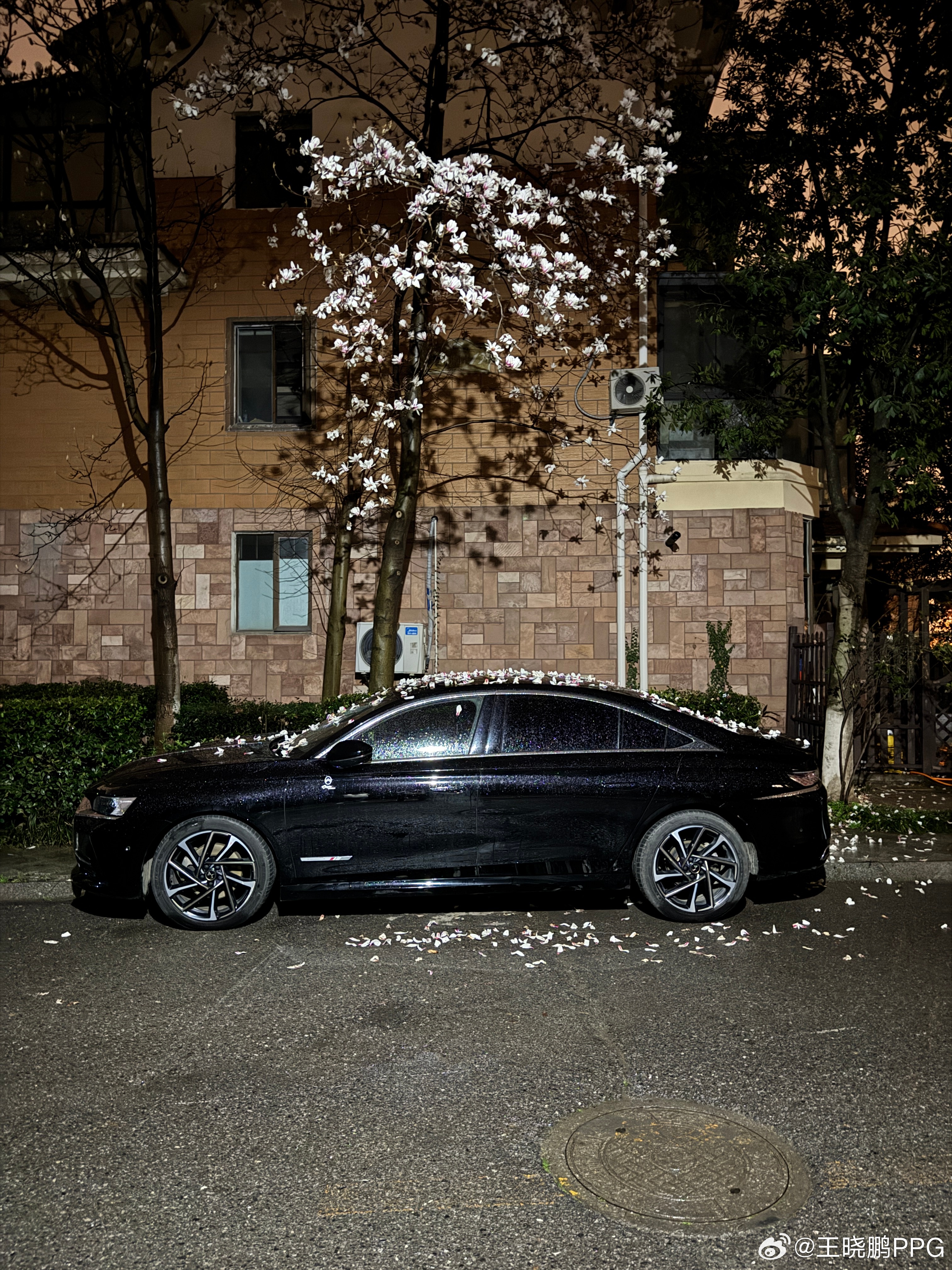 哪个图好看点？ 