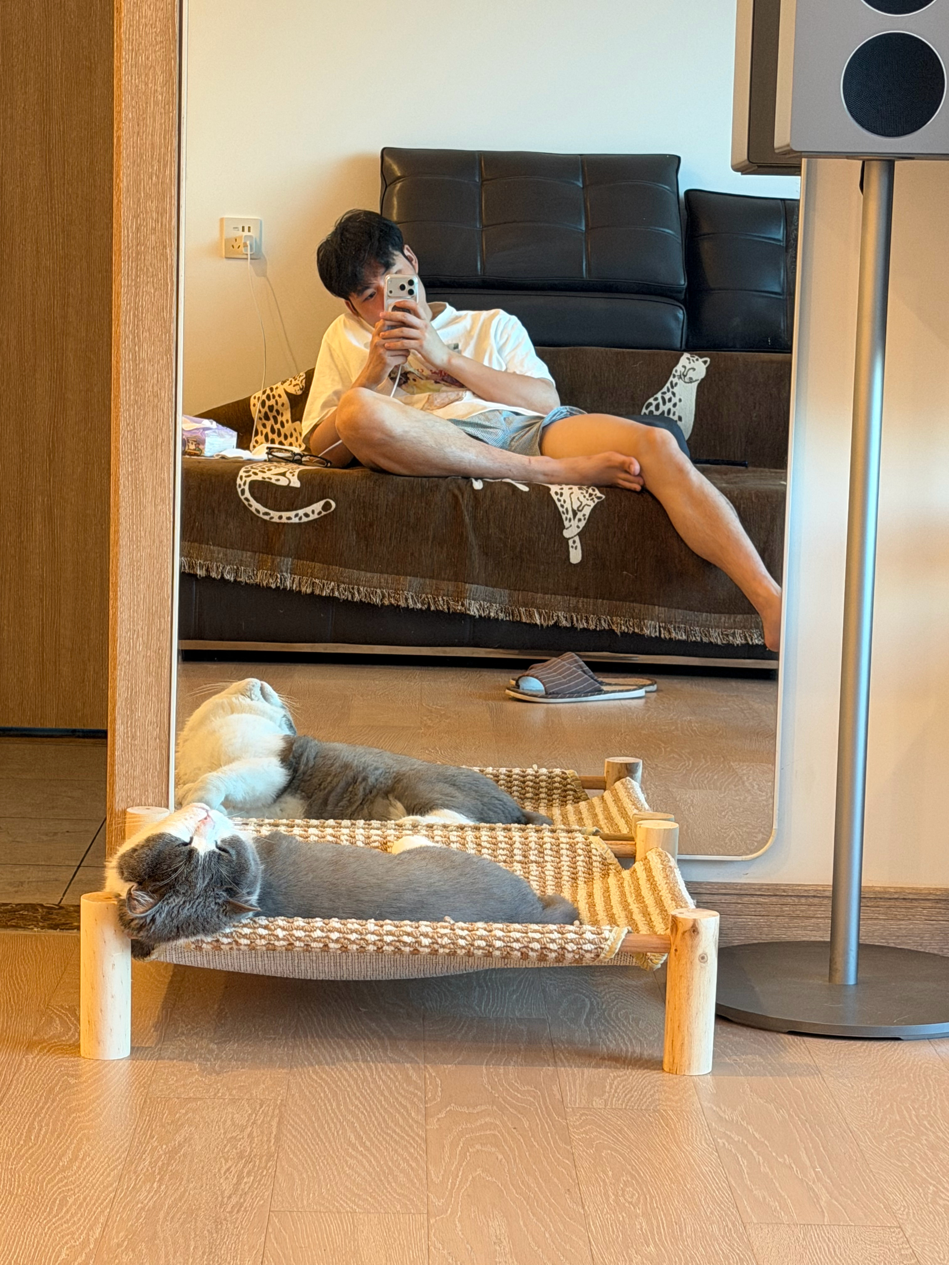 猫咪总有自己的雷霆睡姿 