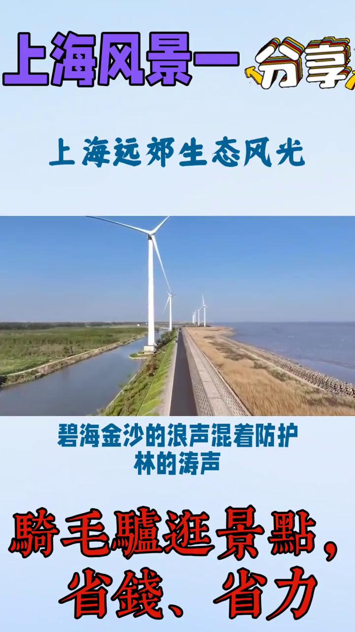 上海风景一分享：上海远郊生态风光。
上海远郊的生态风光藏着这座都市最野趣的自然肌