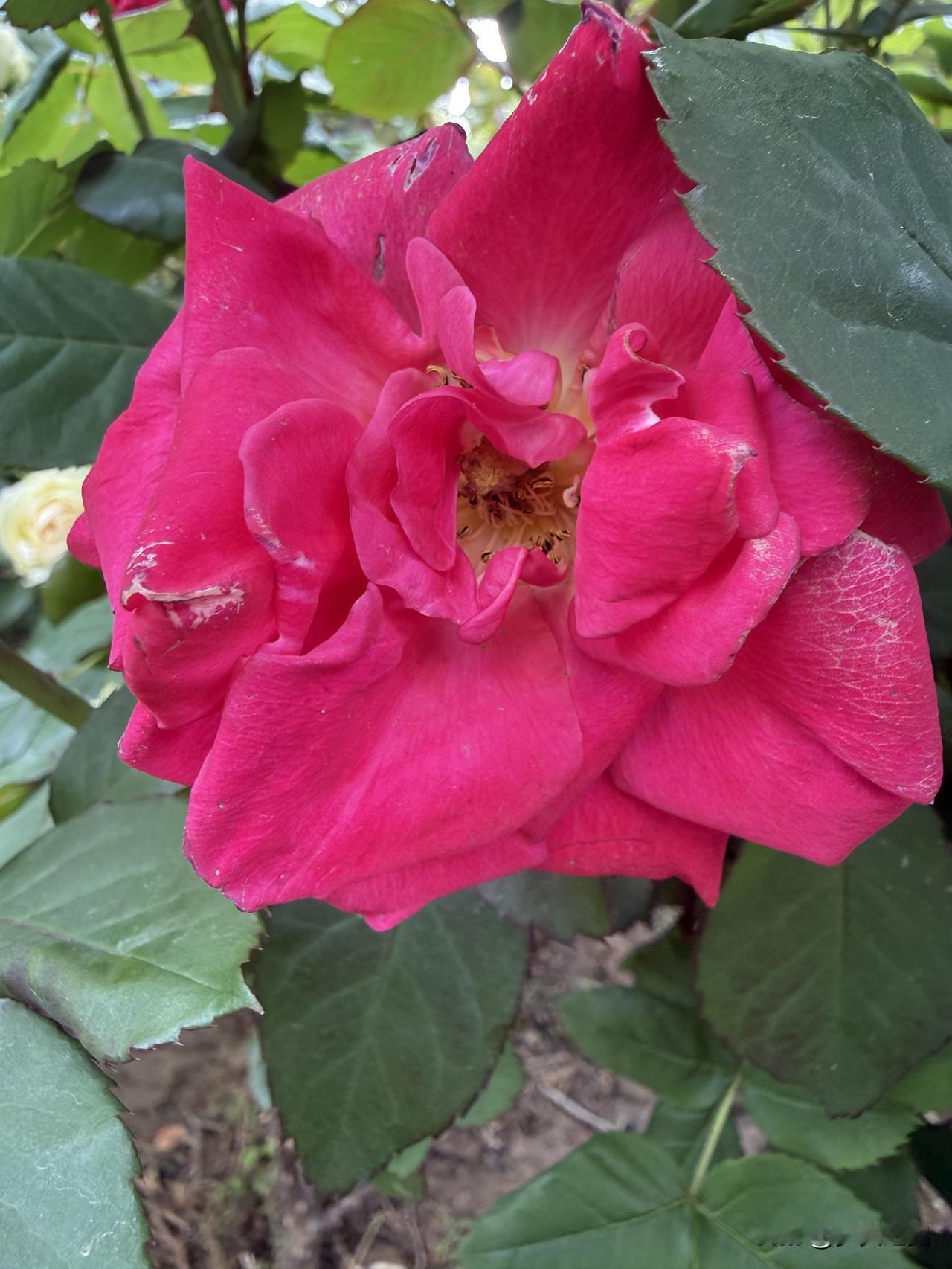 【小对联】
上：落座；
下：……？