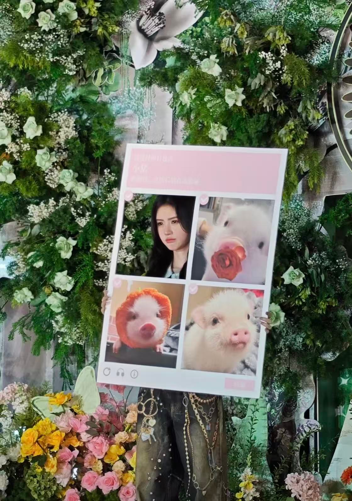 鞠婧祎举了猪塑四宫格饭撒牌鞠婧祎举四宫格饭撒牌 被可爱晕了鞠婧祎万花世界开机