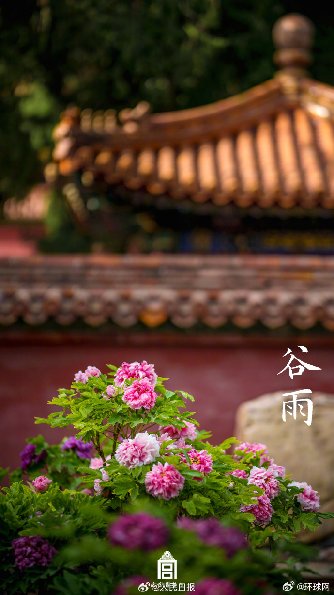 【#故宫谷雨壁纸#】今日谷雨，一组谷雨壁纸，意境拉满↓↓网友：#故宫节气壁纸美到