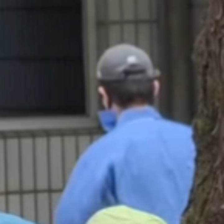 今日份乱七八蕉 