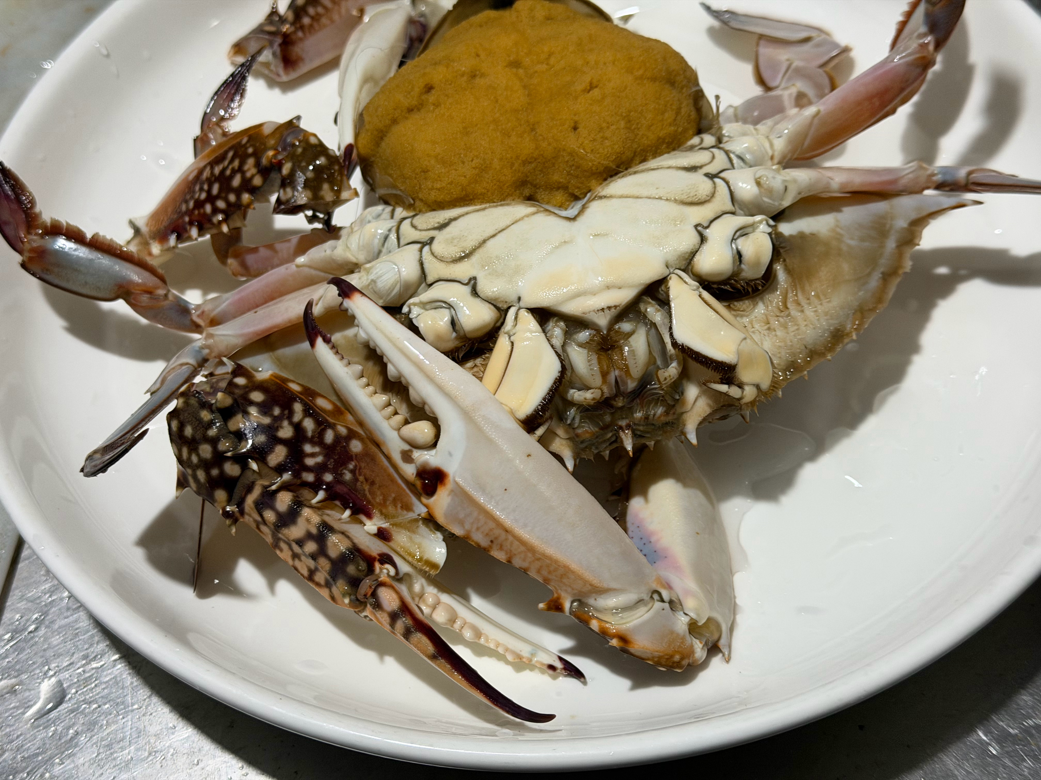 籽蟹 我的最爱🍻🍻🍻🍻 龙港