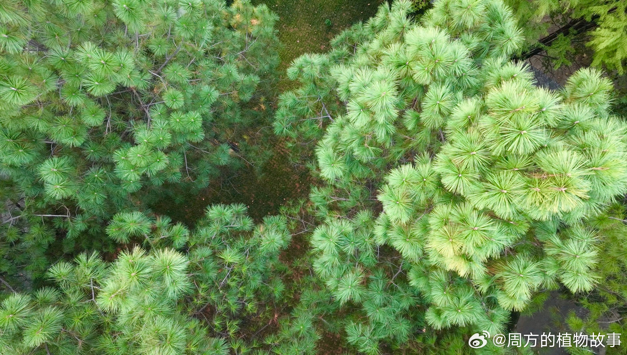 还是在学校好呀学生卡体验结束回昆明啦 ​​​