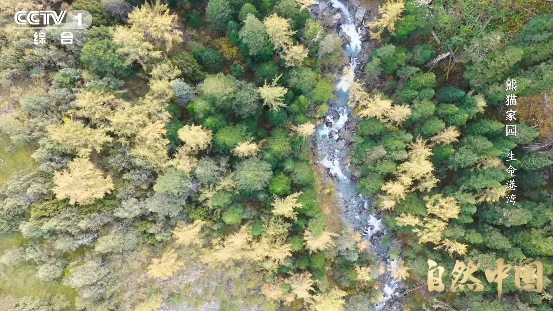 四川山上有个大水龙头 印度洋和太平洋的水汽跑到四川，被高山一挡，乖乖变成云海和降