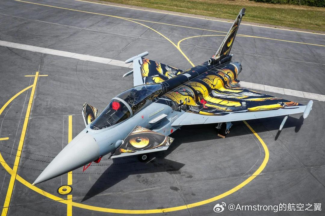 德国空军第74战术空军联队的台风30+74"城堡虎"涂装 ​​​