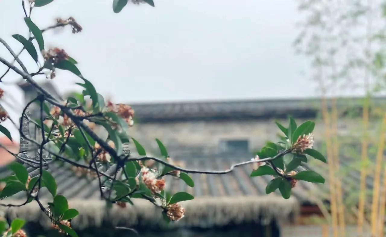 为什么很多人不喜欢海底捞的过度服务？
每个人对“过度服务”的接受程度不一样。有人