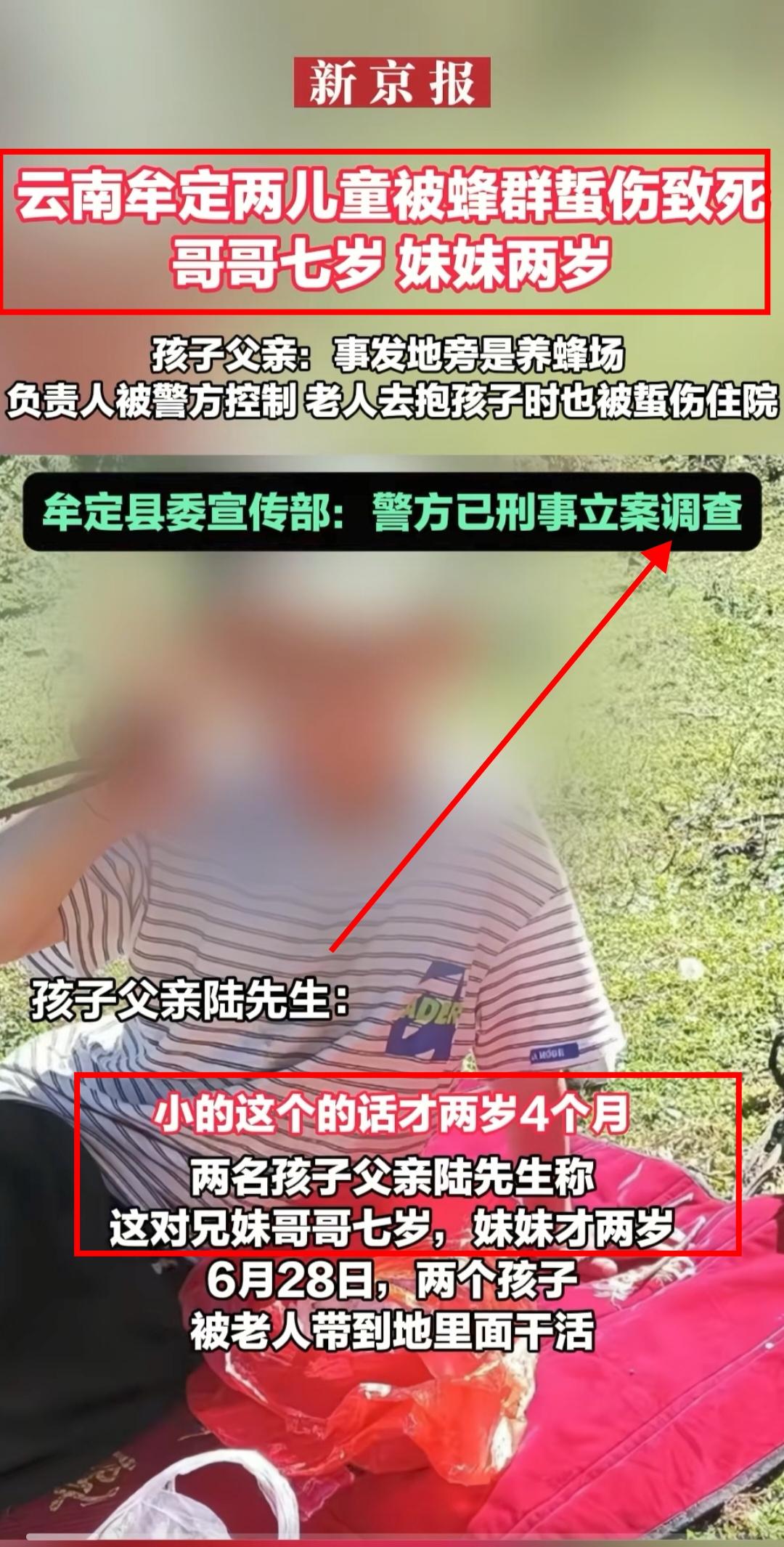 云南牟定发生一起悲剧，两个孩子被马蜂蜇伤身亡。

哥哥7岁，妹妹2岁，他们的父母