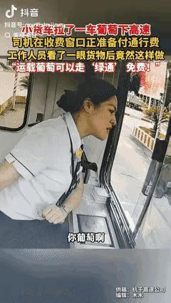 “浙江高速又火了！”浙江杭州，货车司机拉了一车葡萄进了高速收费站，收费员却盯着他