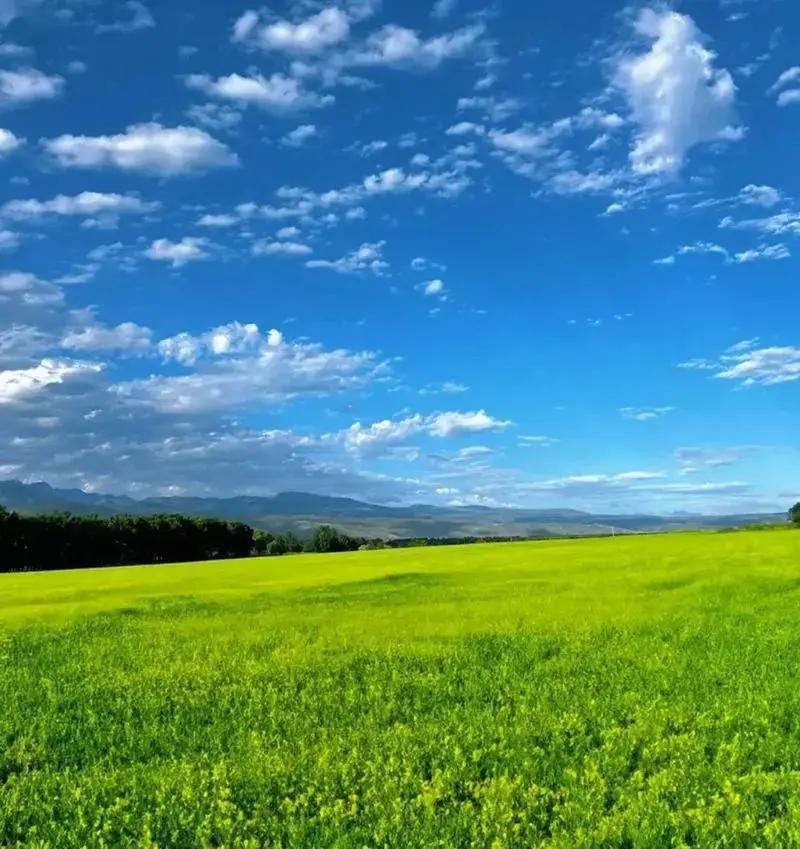 人到中年，很多人才突然醒悟，生活其实没必要那么较真。年轻时候总爱把小事放大，工作