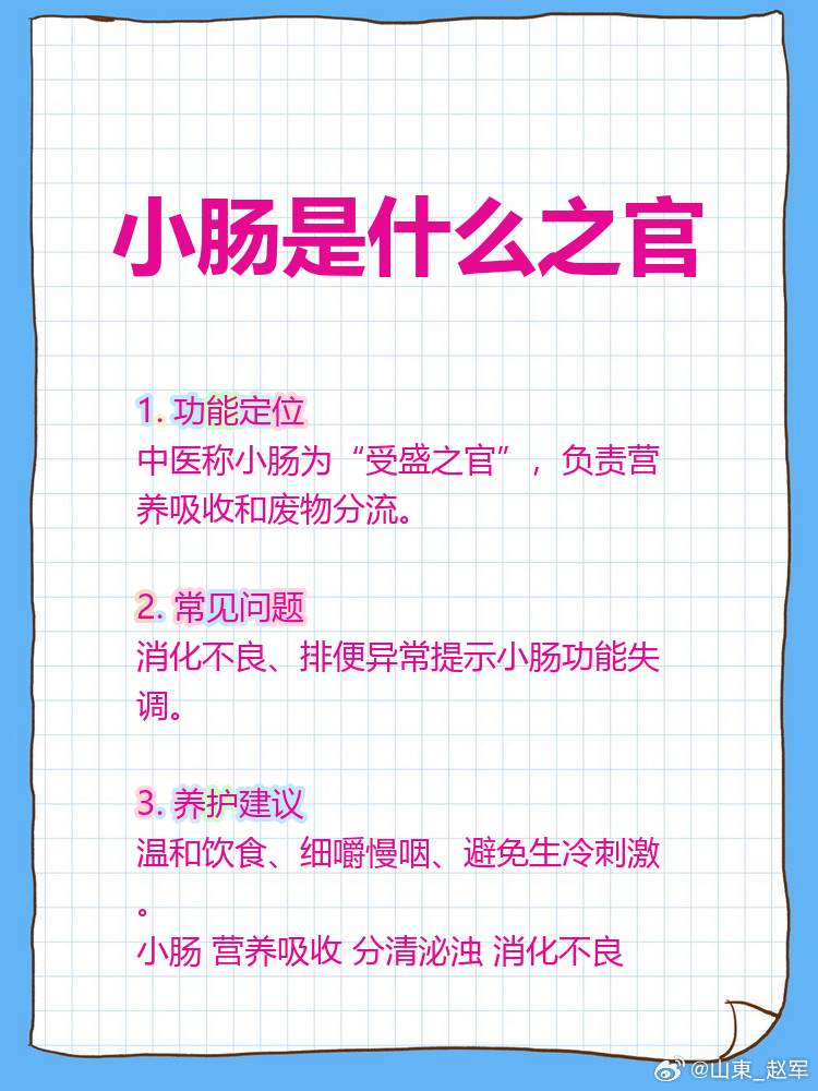 小肠虚寒（小肠温度不足）完整解读，兼顾中医理论+现代医学客观区分一、先分清：现代