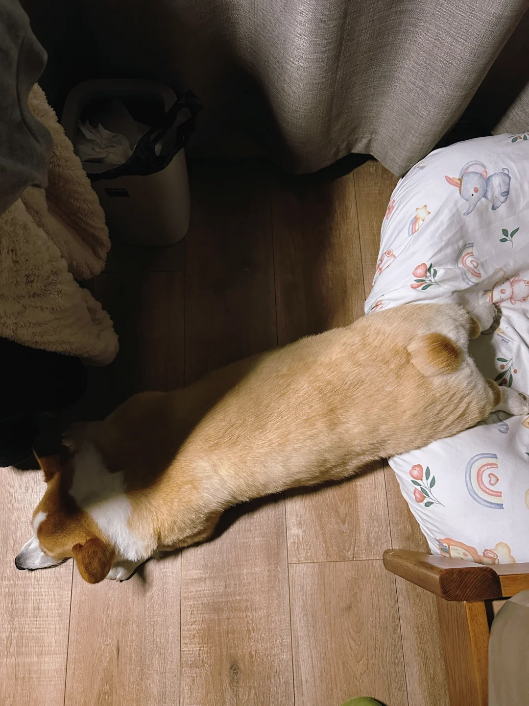 窝起到了什么作用呢