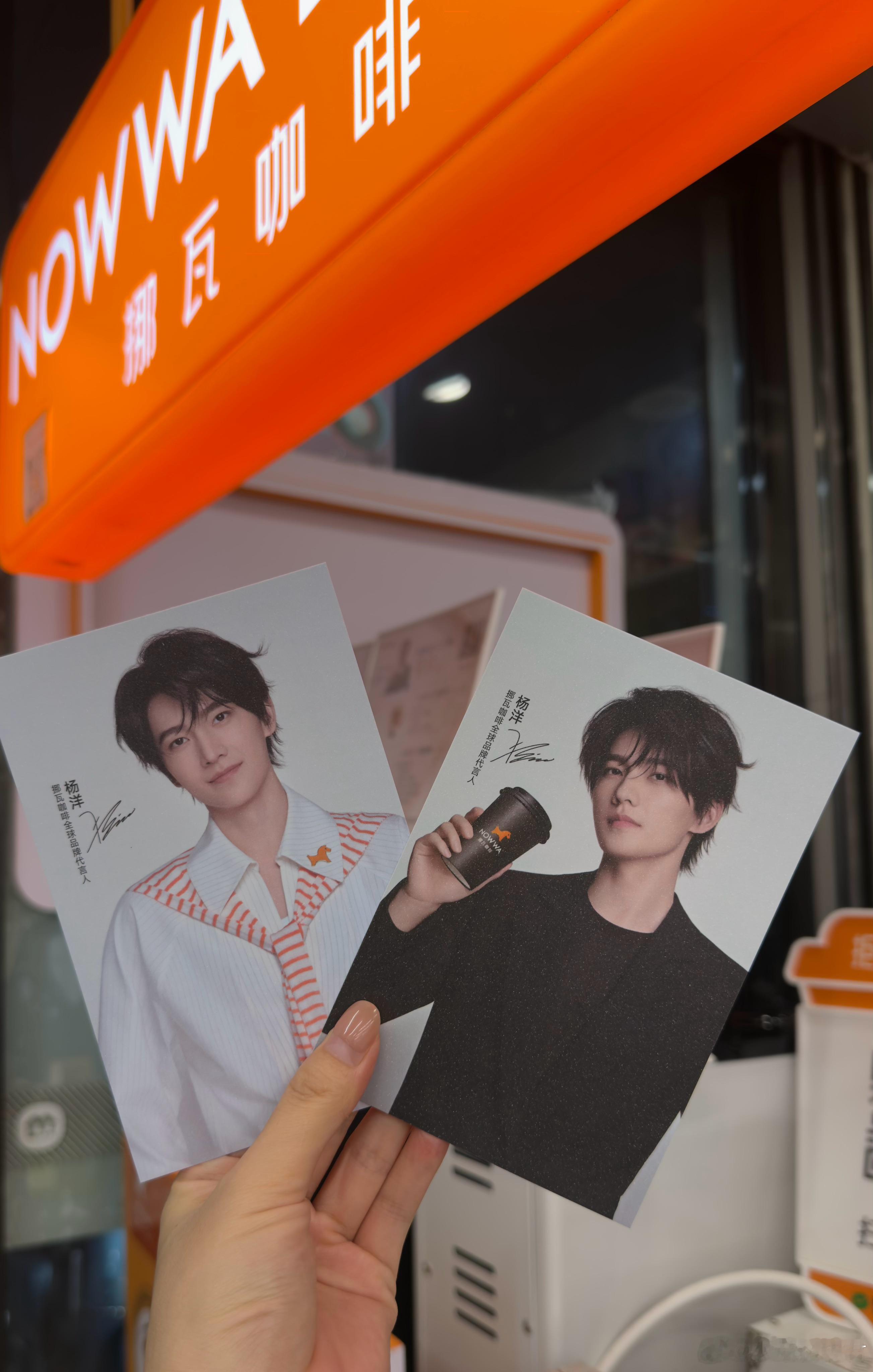 杨洋挪瓦全球品牌代言人本来对挪瓦咖啡无感，架不住是杨洋代言的，还送两张亮晶晶的杨