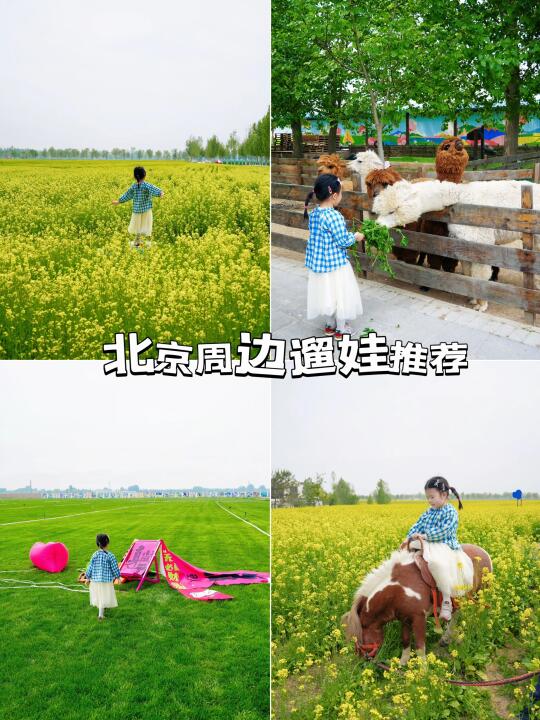 来康郡是懂孩子的！北京周边游遛娃放电100%！
