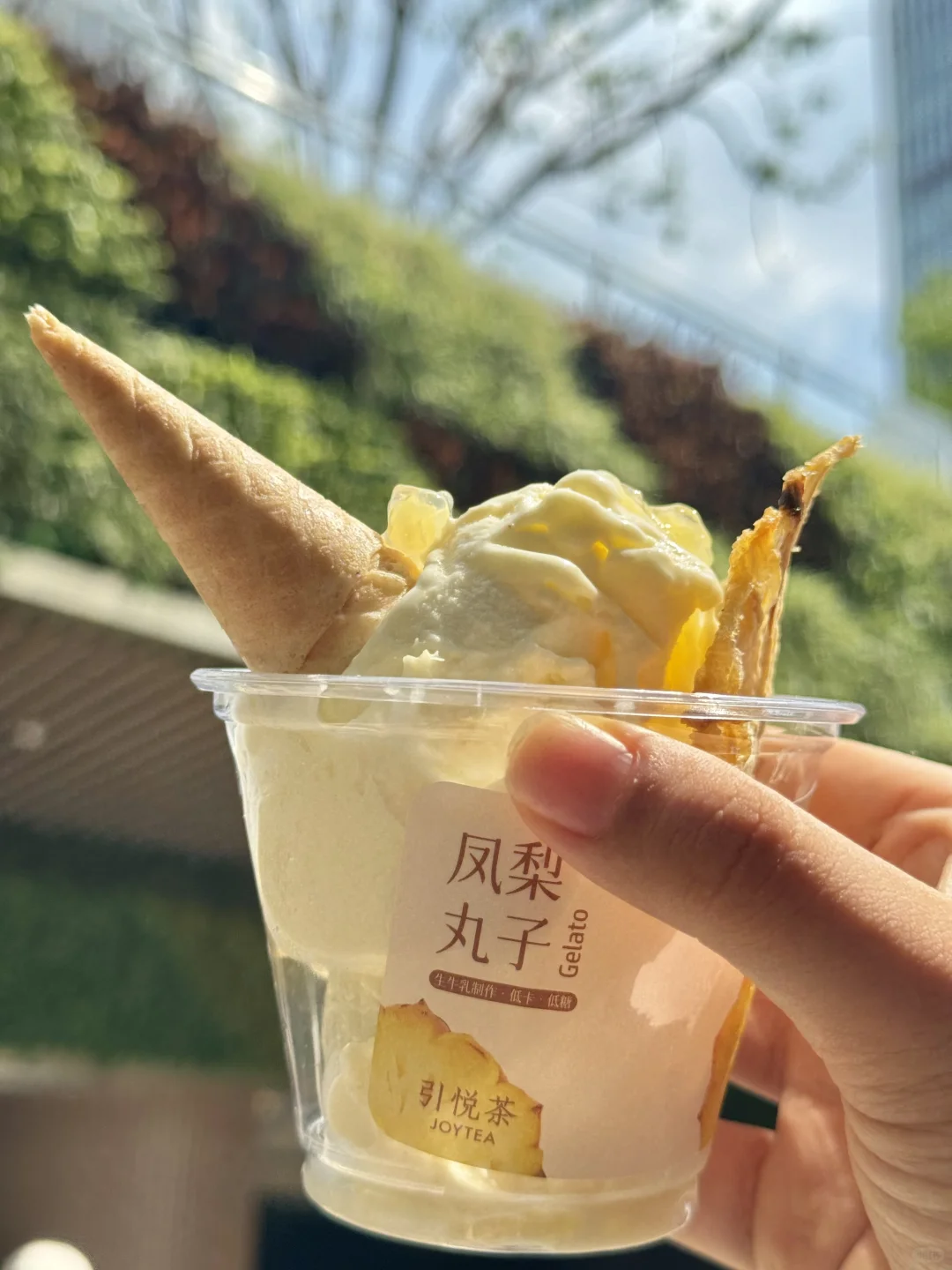 成都！！我唯一想推荐的凤梨丸子gelato 龙泉
