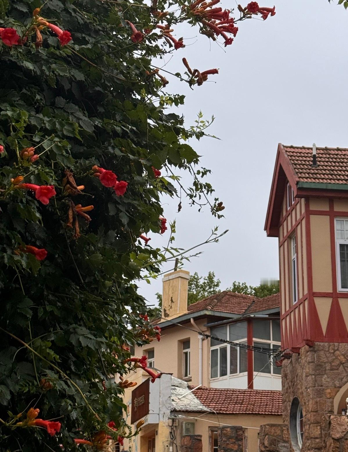 雨天原图vs滤镜换天之后的图小🍠诈骗算我一个（bushi ​​​