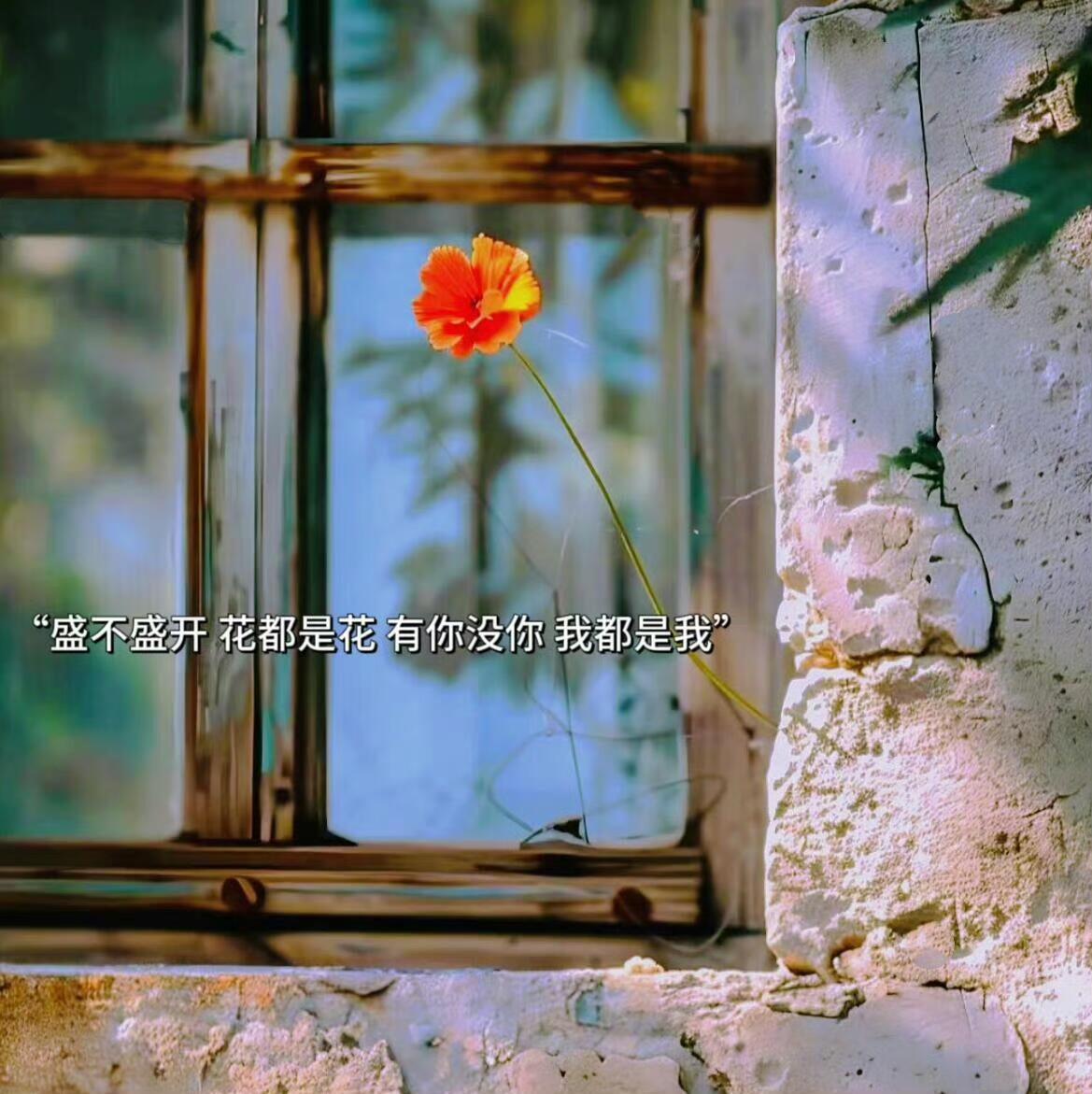 𝙒𝙚𝘾𝙝𝙖𝙩｜背景图｜审美积累｜视觉随笔｜情绪叙事｜氛围感留白｜文艺
