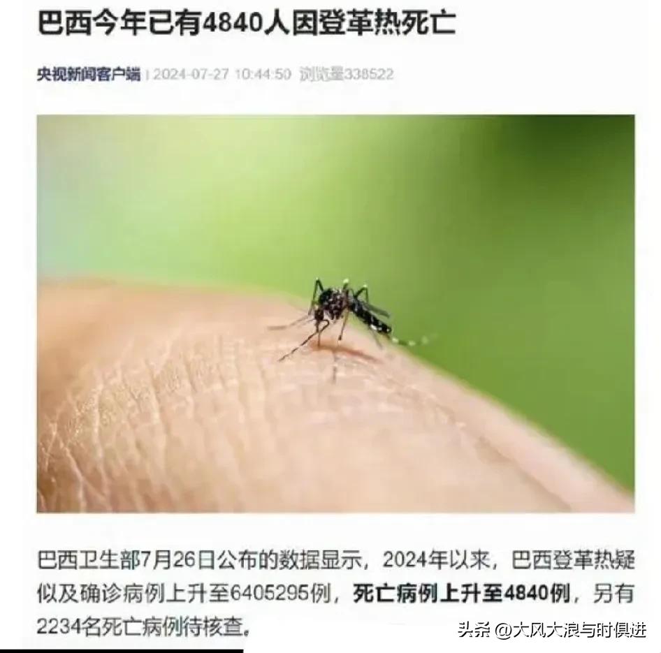 据网上信息：巴西卫生部当地时间9月27日公布的数据：今年以来，巴西国内患登革热疑