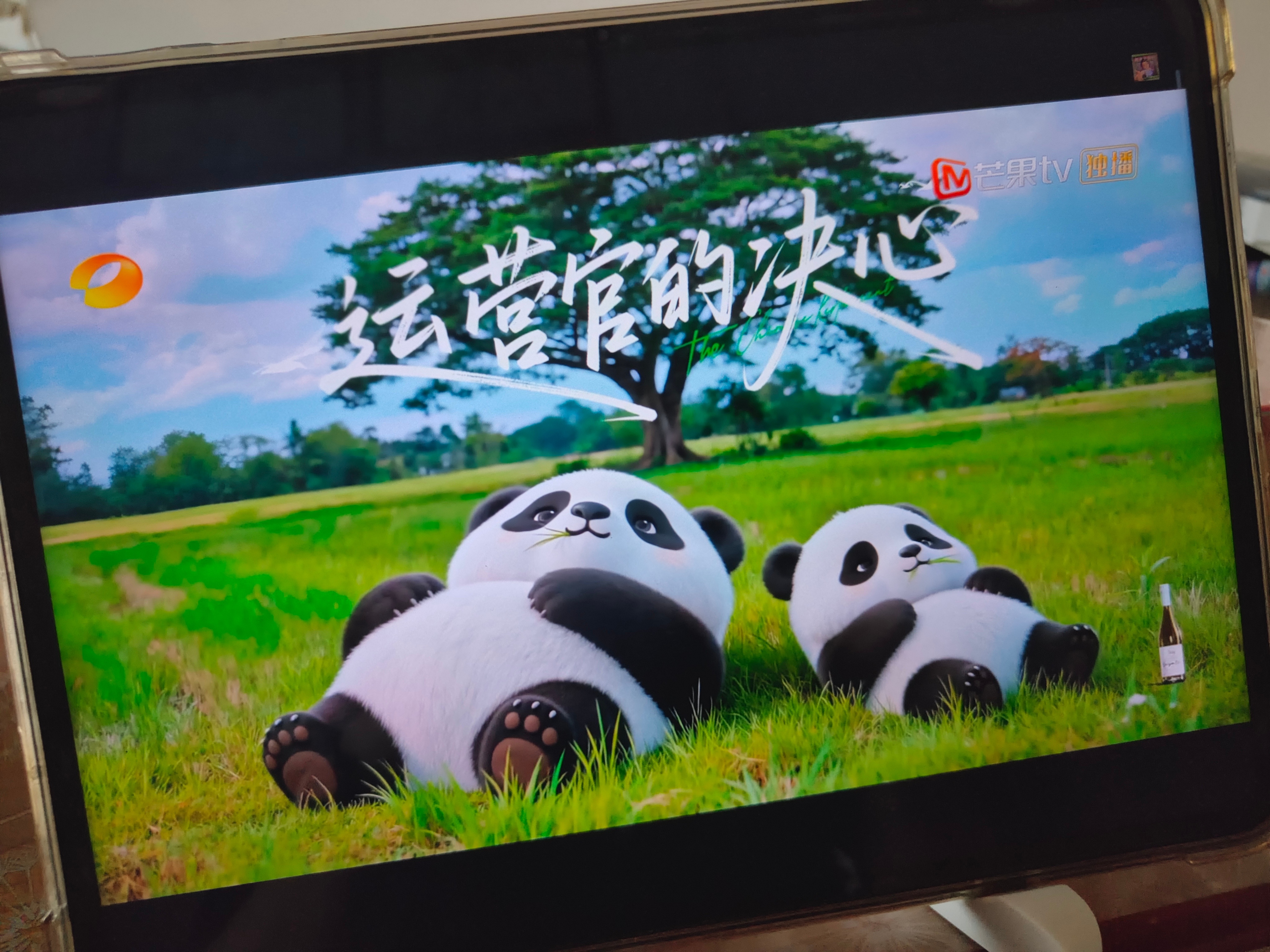 开看！王俊凯中餐厅10