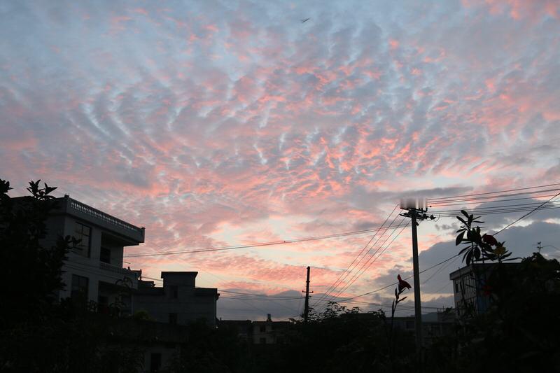 我对拍摄晨霞简直痴迷至极，那景致宛如大自然不慎打翻了调色盘。之前有一回早早起床，