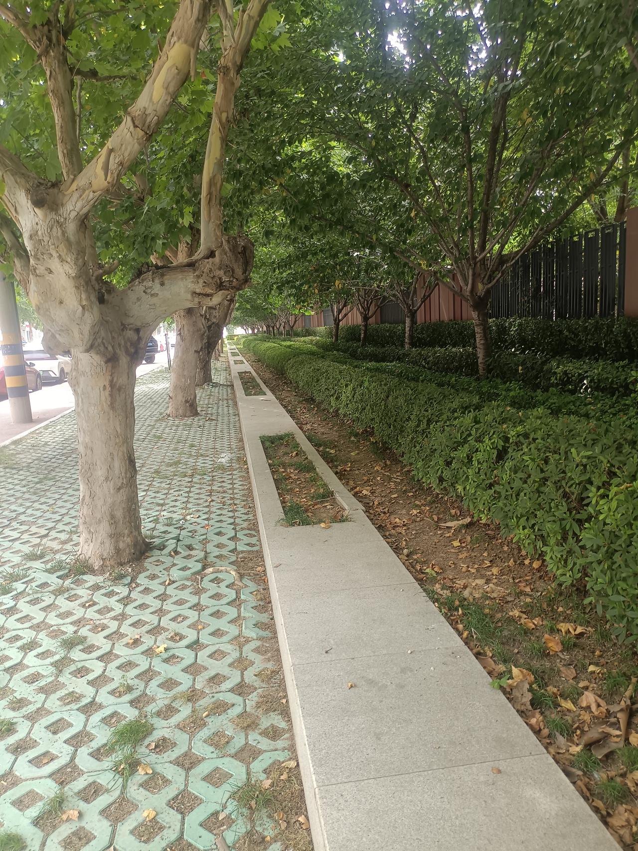 一位养老院院长说：“千万不要盼着自己活到100岁，也不必活到90岁以上，到了那个