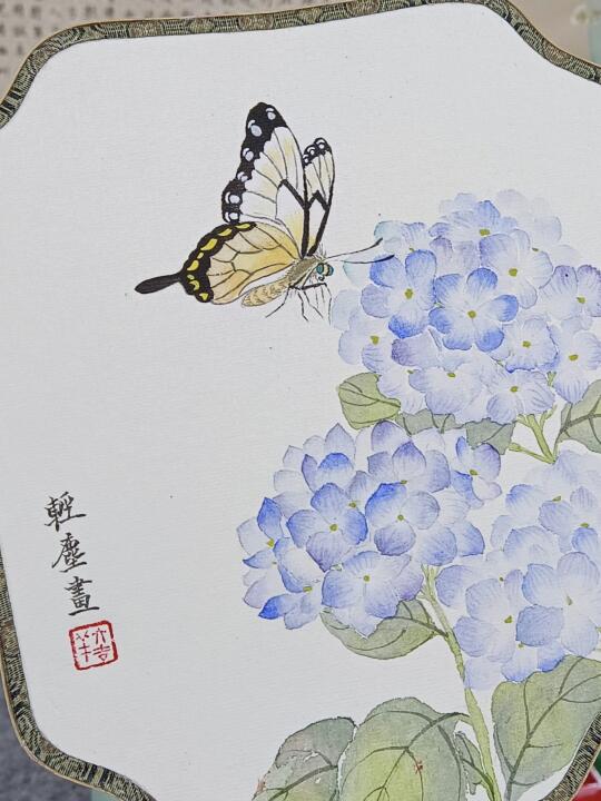 没骨画‖写生绣球花，团扇