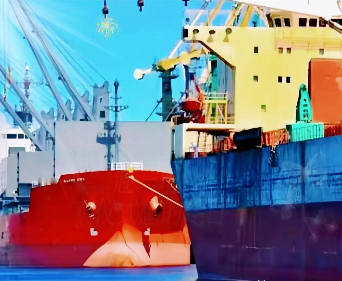 一艘满载 6.9 万吨巴西大豆运到家门口，被我们原路退回！

巴西农业部说了，中