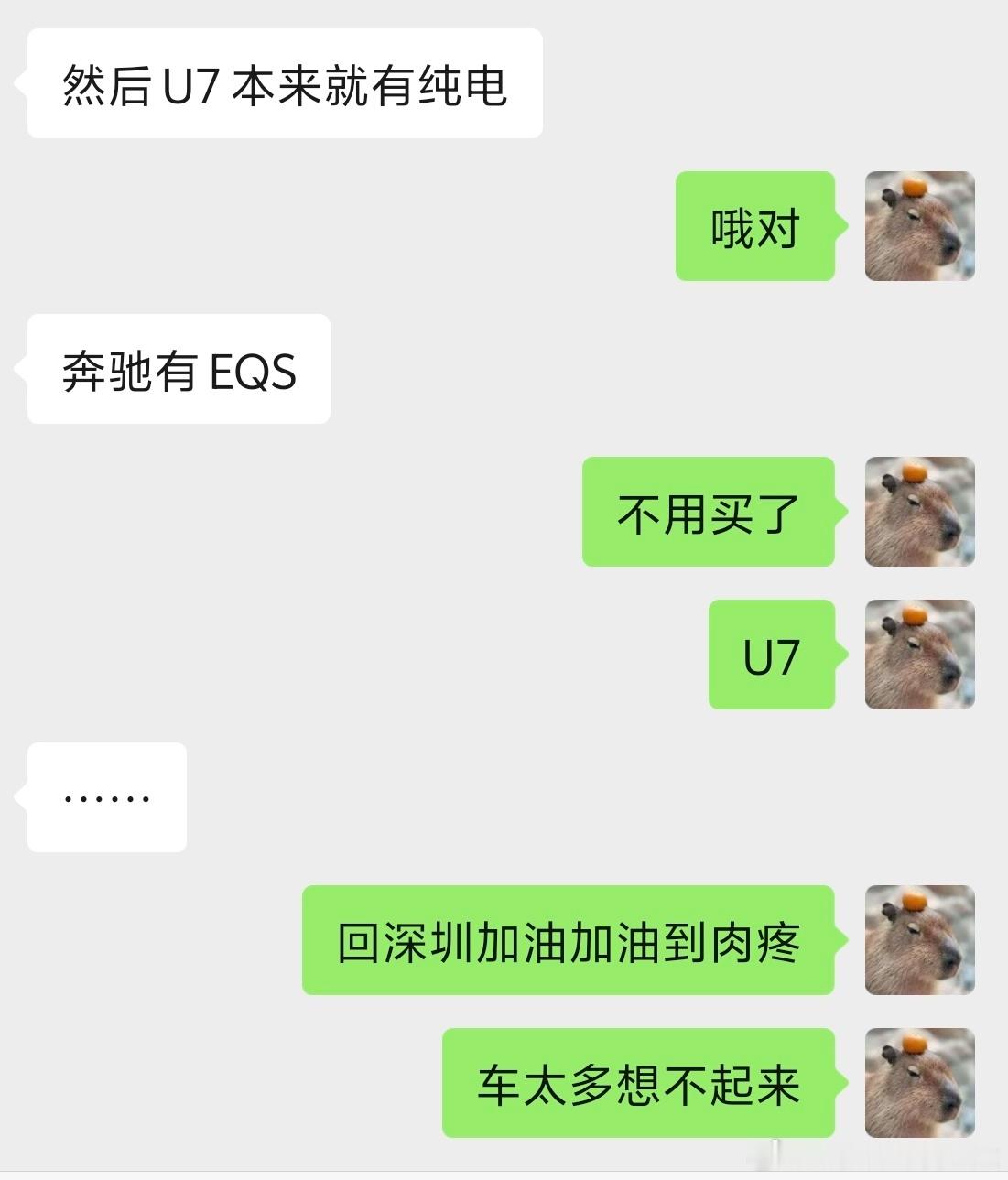开着S480来深圳加油加到肉疼，问小助理有没有国产豪华版新能源我把我广州车库里的