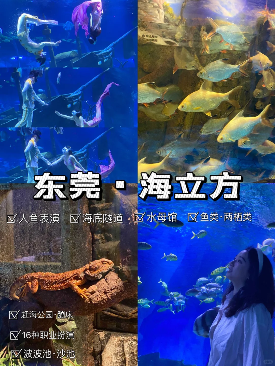 东莞海立方游玩攻略|夏日避暑🌞亲子乐园