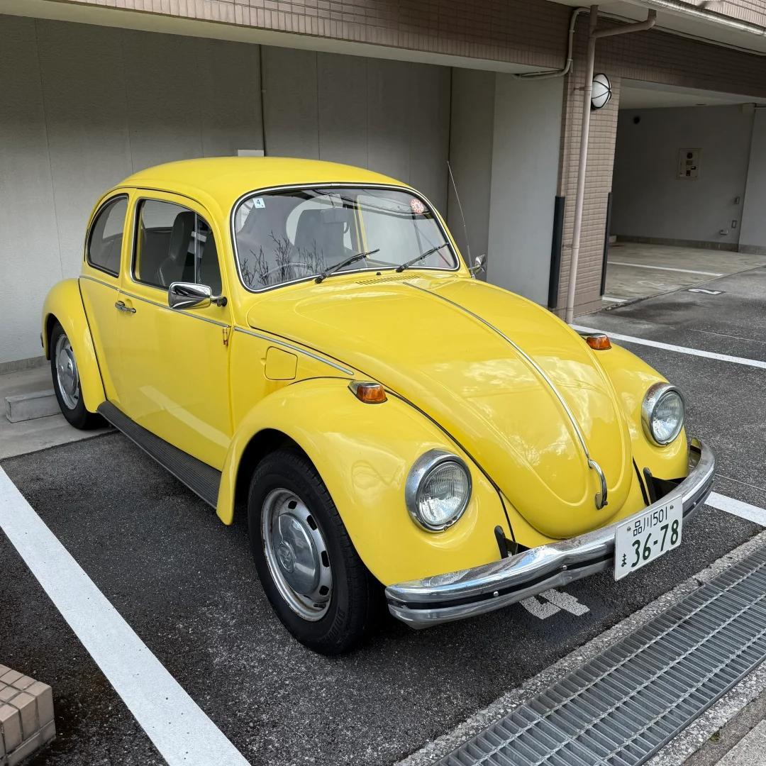 汽车 作为大众历史最悠久的车型，甲壳虫不仅代表了大众，还背负了很多热爱它的情怀。