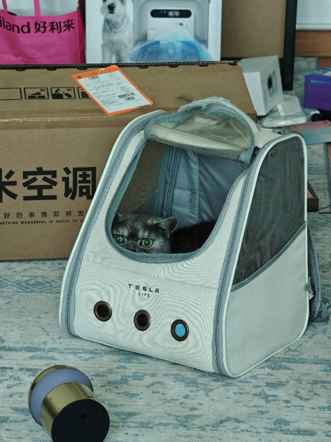 把黑卡带公司来当模特，你瞅这怂样！ 
