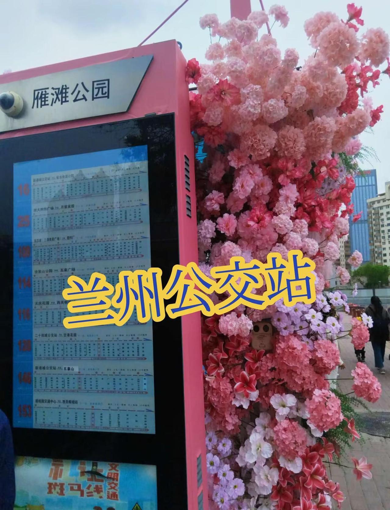 兰州公交站台太卷了  哈哈哈哈哈鲜花公交站牌 城市浪漫地标 属于城市里的限定浪漫