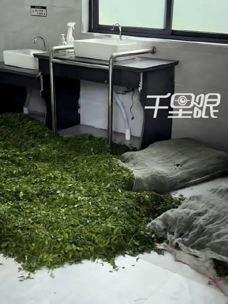 浙江丽水，一女子去景区游玩，期间闹肚子想上厕所，结果推开公厕门直接傻眼了，不仅是