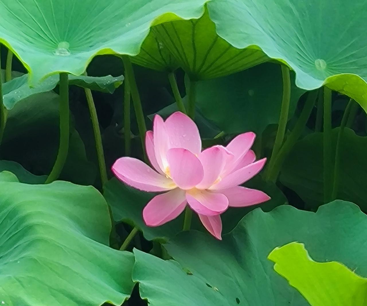 学校包括整个教育系统，有很多分工，林林总总，特别细致。分工是因为工作的需要，但是