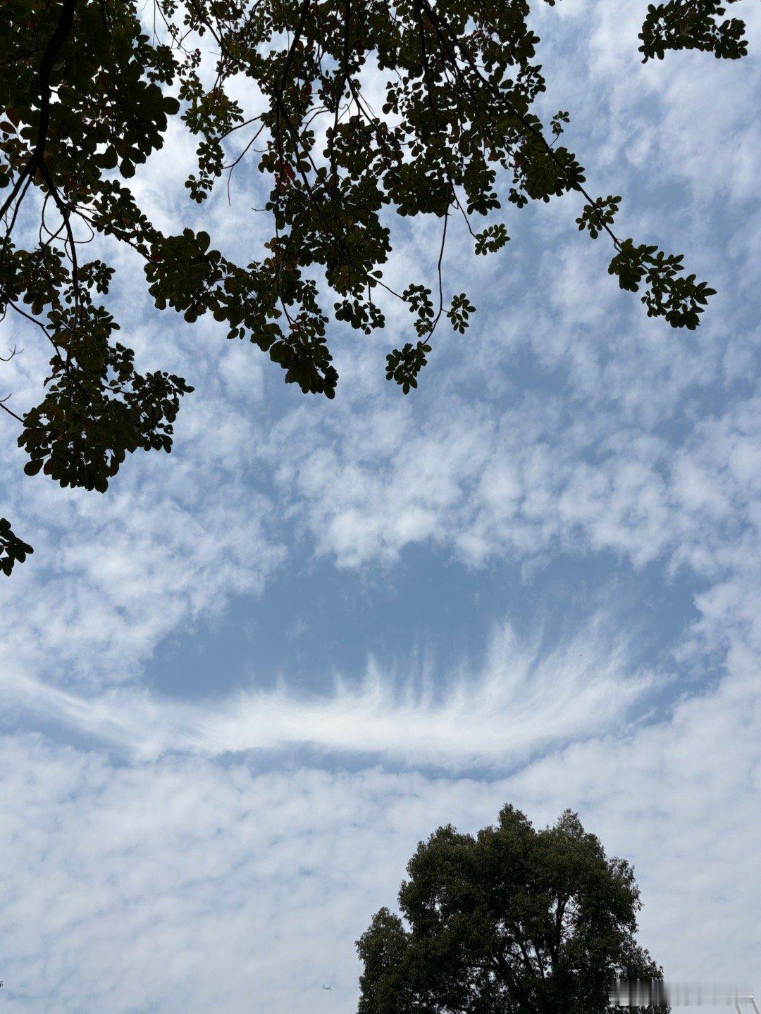 数据向好：12月中采制造业PMI环比上升0.9ppt至50.1%，高于市场预期（