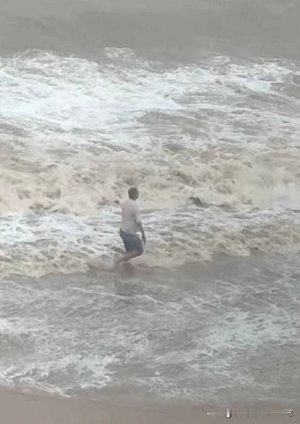 有认识这位神仙的，请呼唤他回家吧！
 
台风天巨浪滔天，一哥却在海里“闲庭信步”