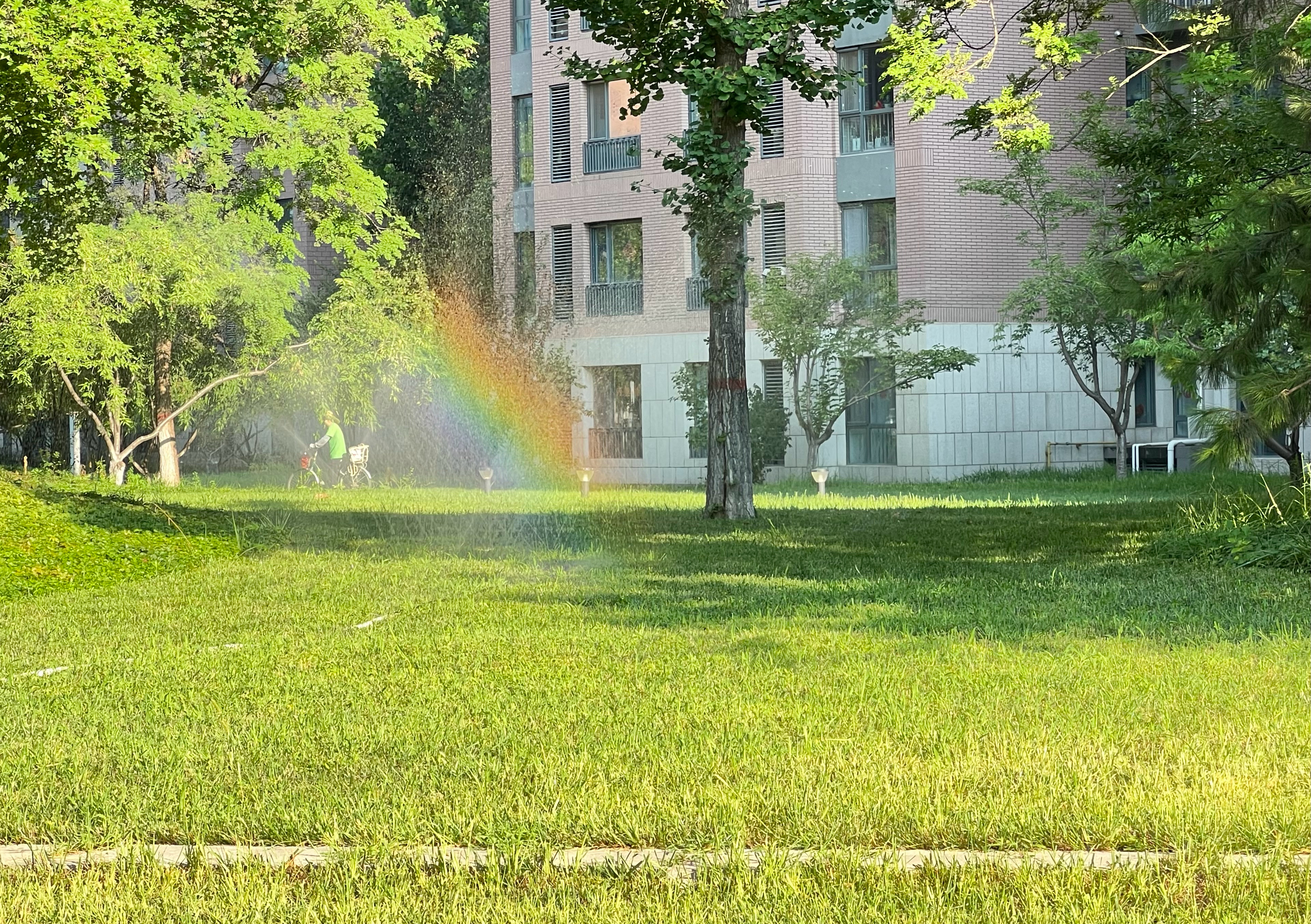今日立秋 早上出去散步，感觉风中有一丝凉意，多雨湿热的日子顶多还有一个星期，就要