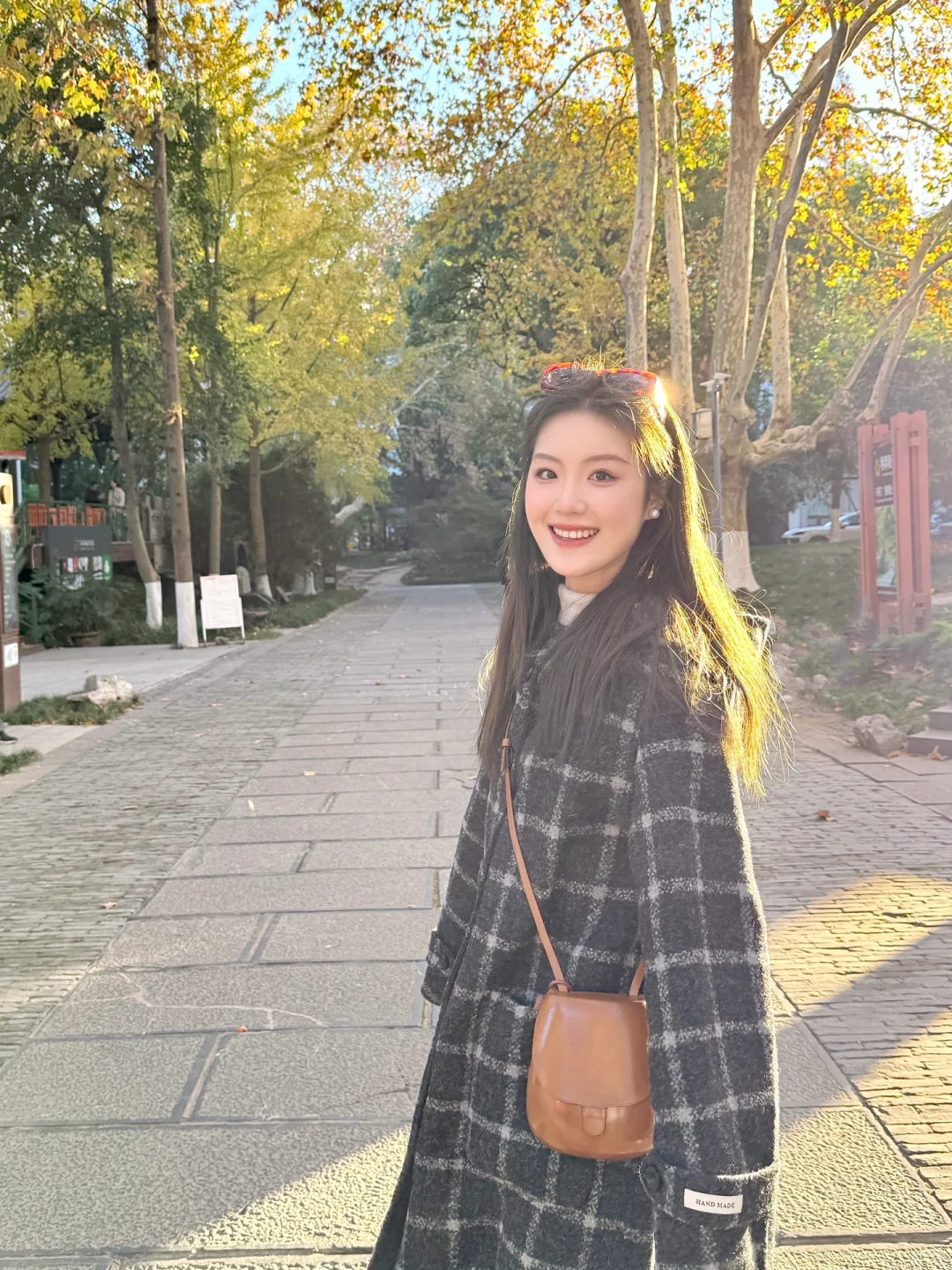 梧桐大道🍂限定晚秋