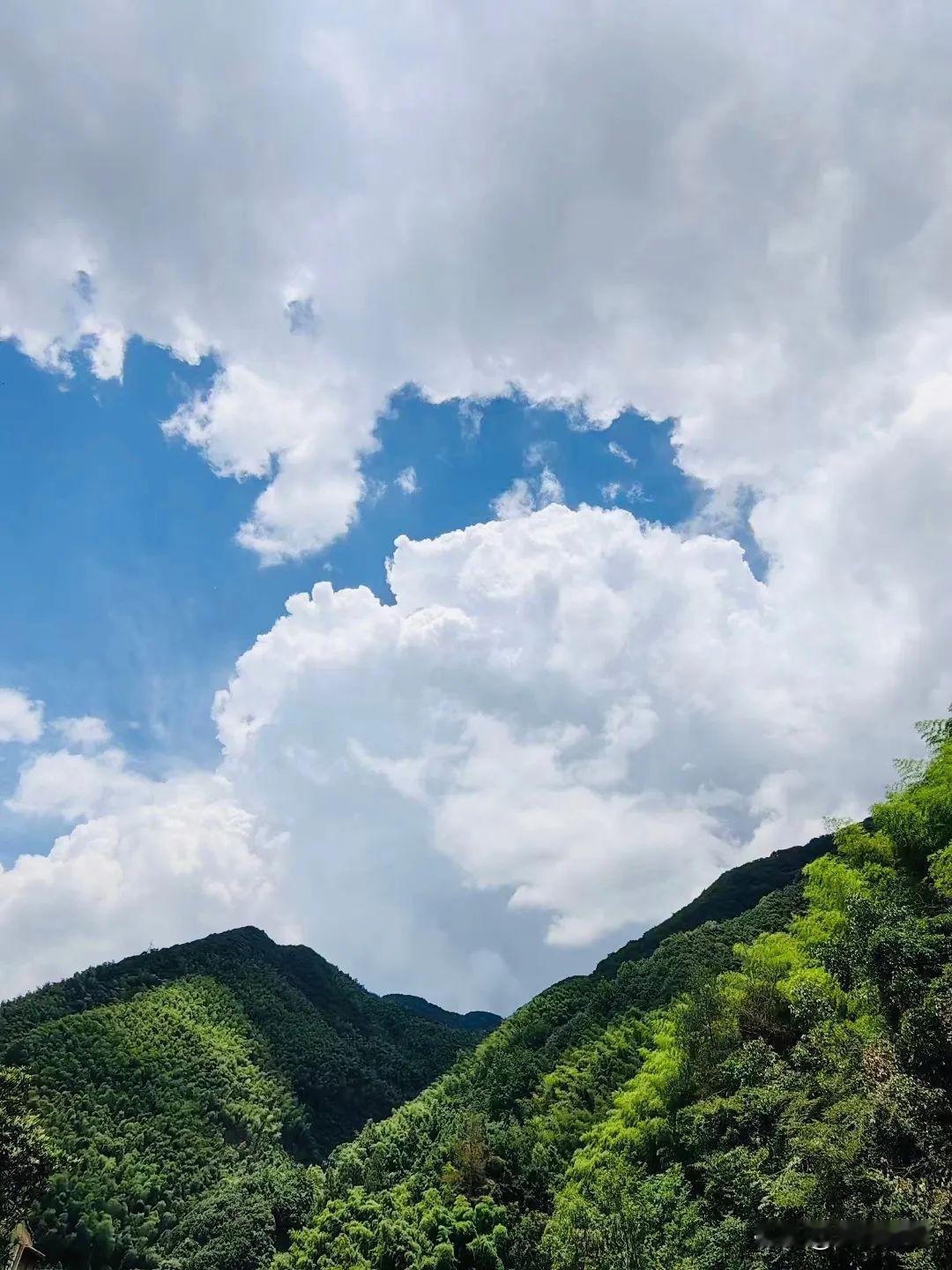 我们被时光推着走过千山万水，拥一份深情和宁静，感受人间烟火里的温柔，用心慢煮岁月