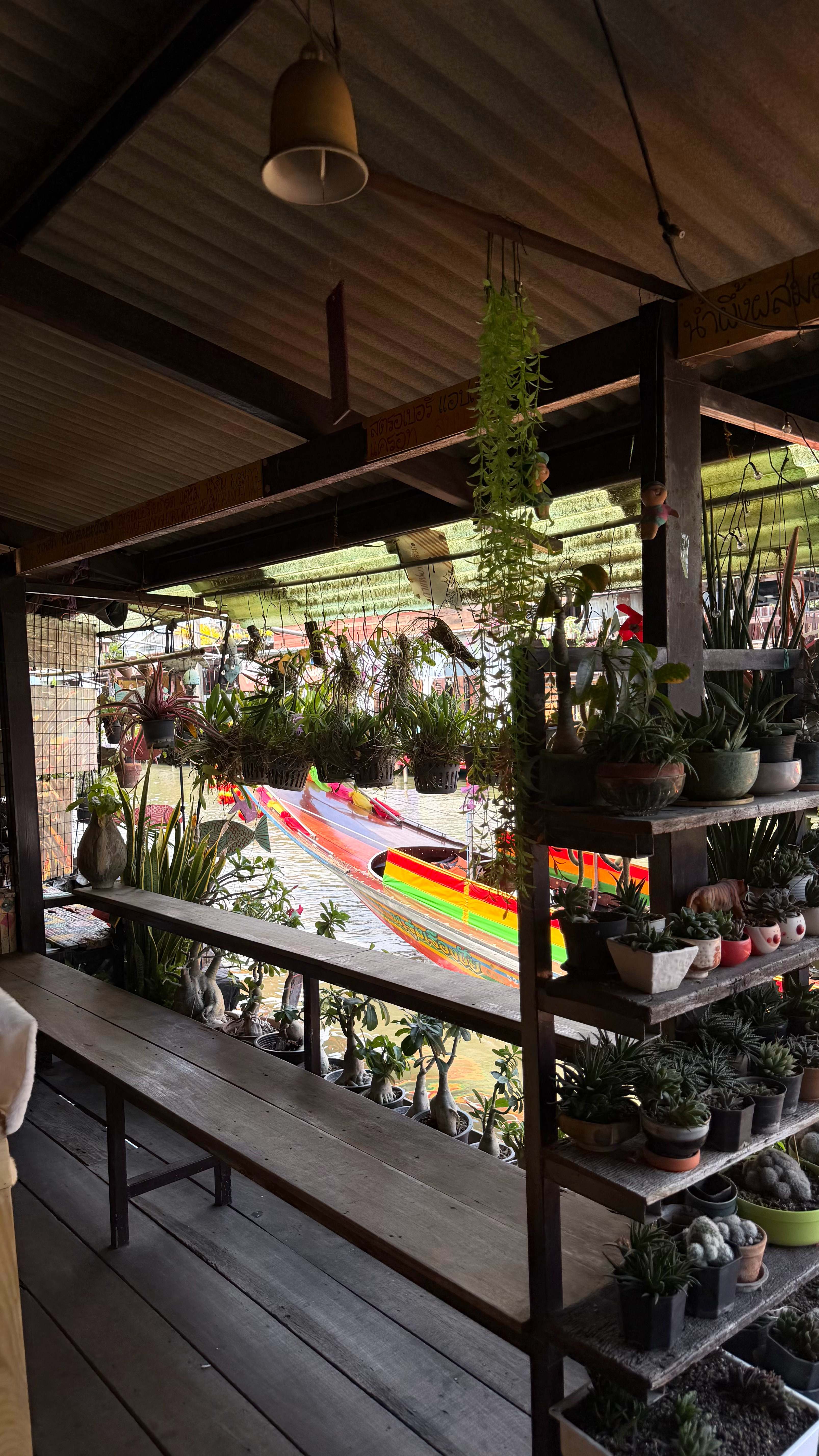 Chill day🍃 泰国·BangkokThailand